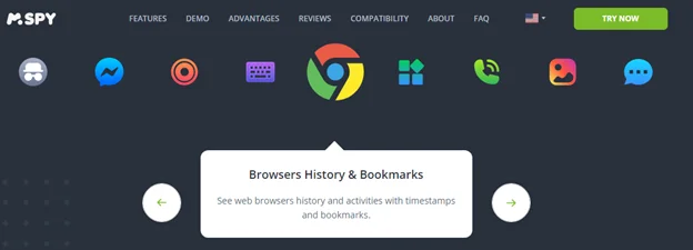 Browser history and bookmarks mSpy